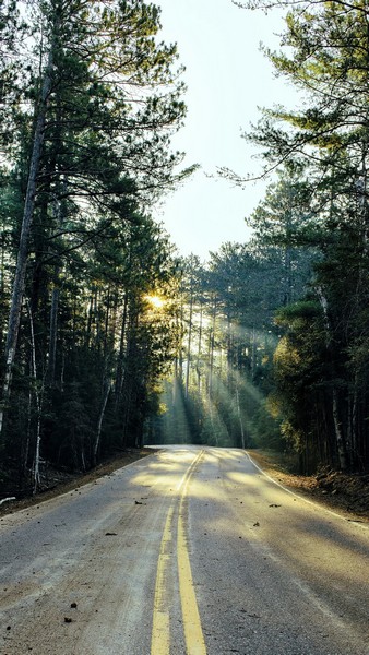 Der Weg ist das Ziel, Foto: Pranam Gurung auf unsplash