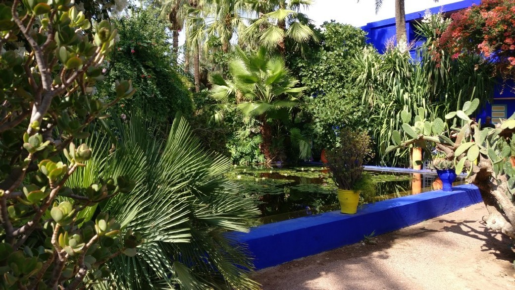 Jardin Majorelle in Marrakesch, Foto: Eberhard Hahne