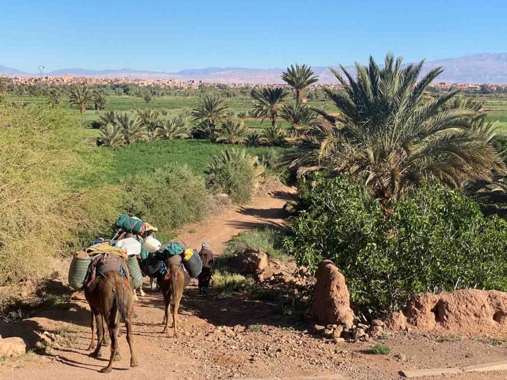 Auf alten Karawanenrouten von Ouarzazate nach Essaouira, Foto: Jean-Pierre Datcharry