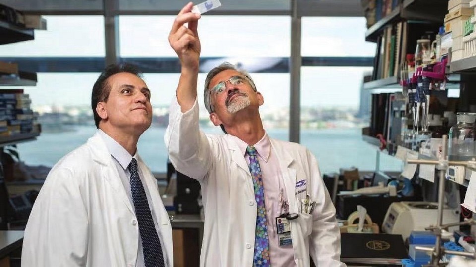 Boutajangout steht als Erstautor an der Spitze eines Teams von Wissenschaftlern der NYU; gemeinsam mit Thomas Wisniewski verantwortet er die Arbeit auch als Corresponding Author