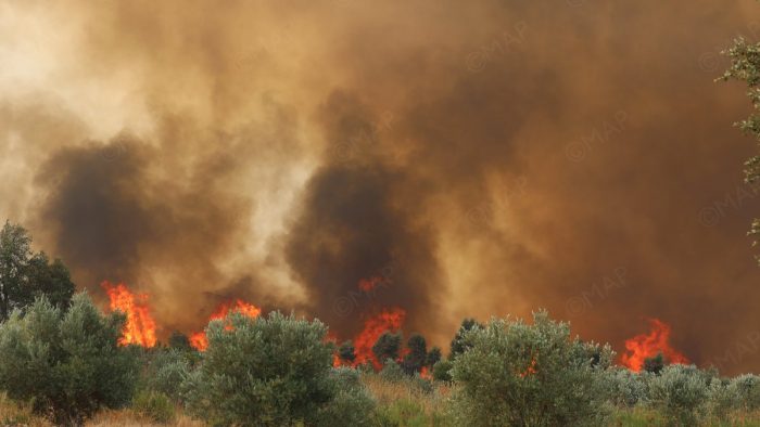 Bekämpfung von Bränden und kein Ende in Sicht, Foto: barlamane.com