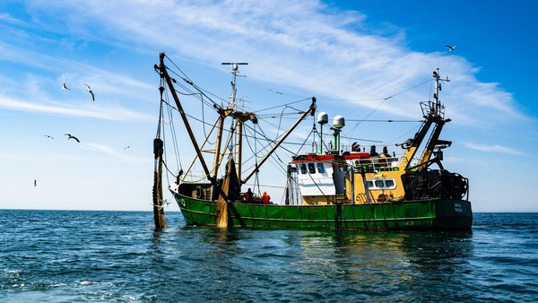 Marokko-EU: Bedenken über den Zustand der Fischereiressourcen, Foto: Paul Einerhand auf unsplash.com