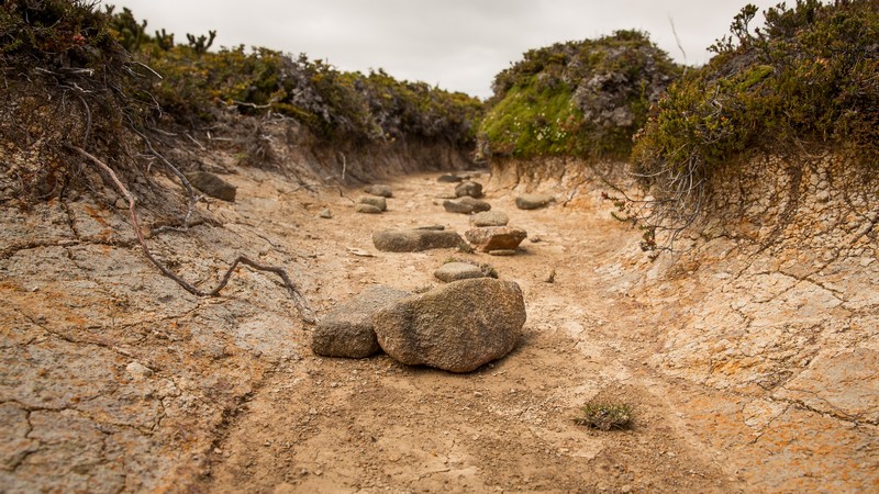 Trockene Böden und ausgetrocknete Bäche, Foto: Matt Palmer auf unsplash.com