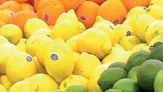 Zitrusfrüchte erzielen ein Wachstum von 42%, Foto: barlamane.com