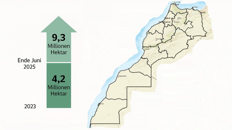 Staatsland, Foto mit Hilfe von ChatGPT erstellt Staatsland, Foto mit Hilfe von ChatGPT erstellt