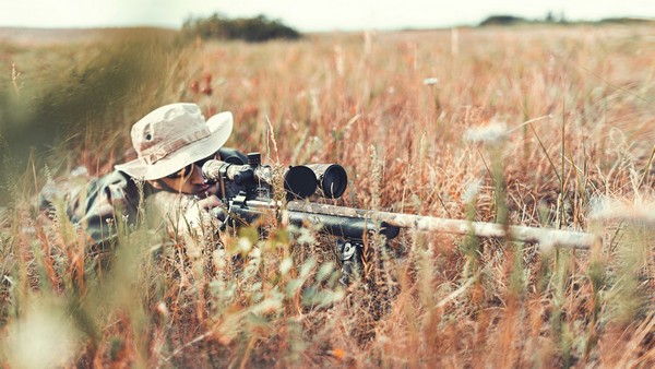 Aufstrebendes Paradies für Jäger, Foto: Maxx auf unsplash