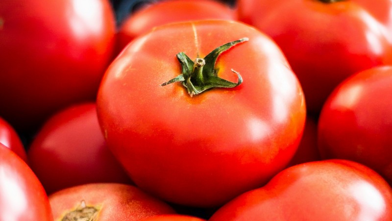 Tomaten, Foto: Deniz Altindas auf unsplash