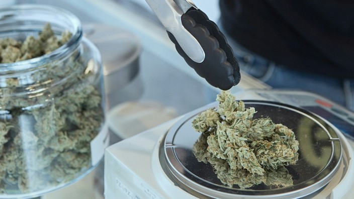 Cannabis. Foto von Budding auf unsplash Cannabis. Foto von Budding auf unsplash
