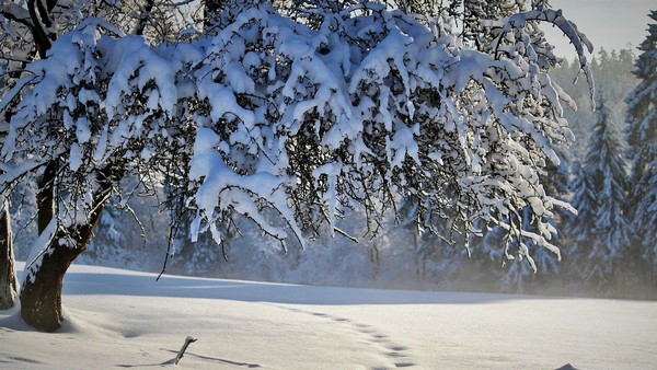 Starke Schneefälle und Regenschauer in Marokko, Foto: Anja Cocoparisienne auf pixabay.com