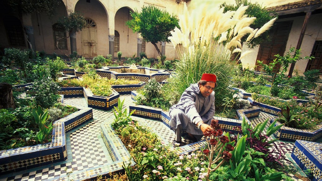 Garten Bba Mohamed Chergui, Foto: Eberhard Hahne