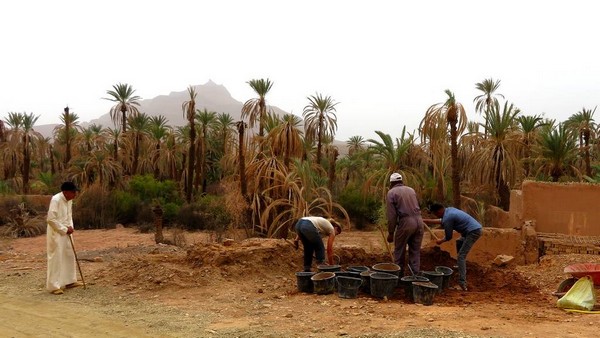 Sidi Ahmed beobachtet die Arbeiten, Foto: marokko-erfahren